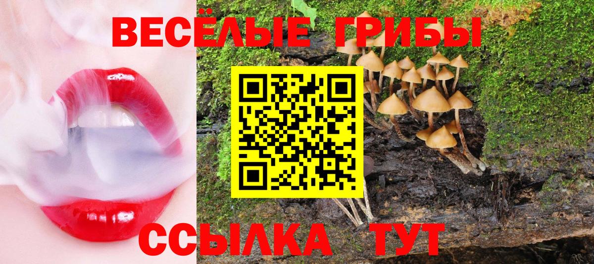 Псилоцибиновые грибы Psilocybine cubensis  купить наркотик  Анжеро-Судженск  Галлюциногенные грибы ЛСД  Вход с VPN 