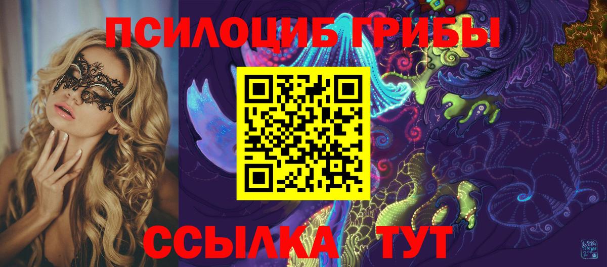 Галлюциногенные грибы Psilocybine cubensis Анжеро-Судженск